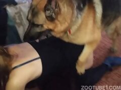 Amadora ama foder com seu cachorro selvagem na cama