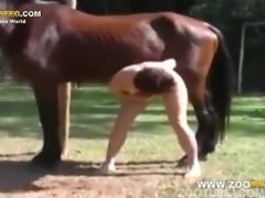 Cavalo gozando dentro do cu da mulher