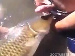 Homem faz sexo com peixe de rio