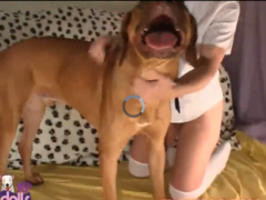 Cão obediente fodendo buceta da sua dona safada