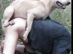 Gay safado deixa cachorro comer o seu cu