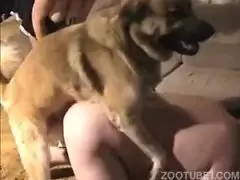 cachorro fazendo seco oral na mulher