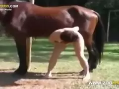 mulher sendo fodida forte por um cavalo