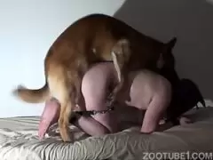 um homem fazendo sexo com cachoro